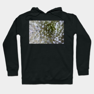 Classic Chrysanthemum Macro Hoodie